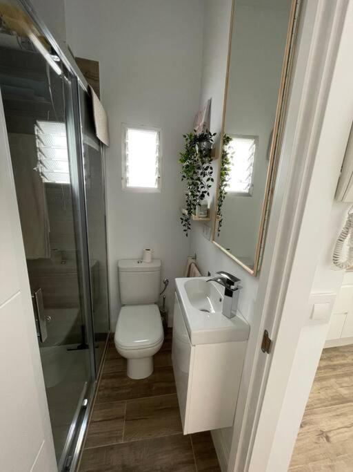 Ferienwohnung Atico Duplex Con Terraza En Pleno Centro De Jerez Jerez de la Frontera Exterior foto